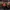 Gruppe SC-Fans vor Plakat "Braun darf nur St. Pauli" in U-Bahn Station