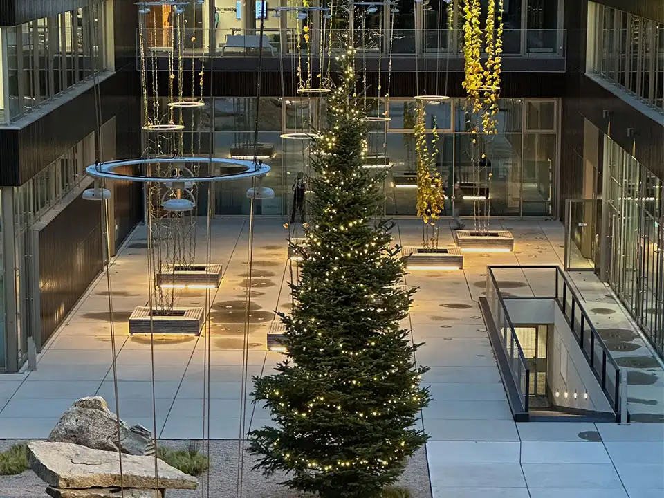 Weihnachtsbaum auf dem JobRad-Campus Weihnachtsbaum auf dem JobRad-Campus